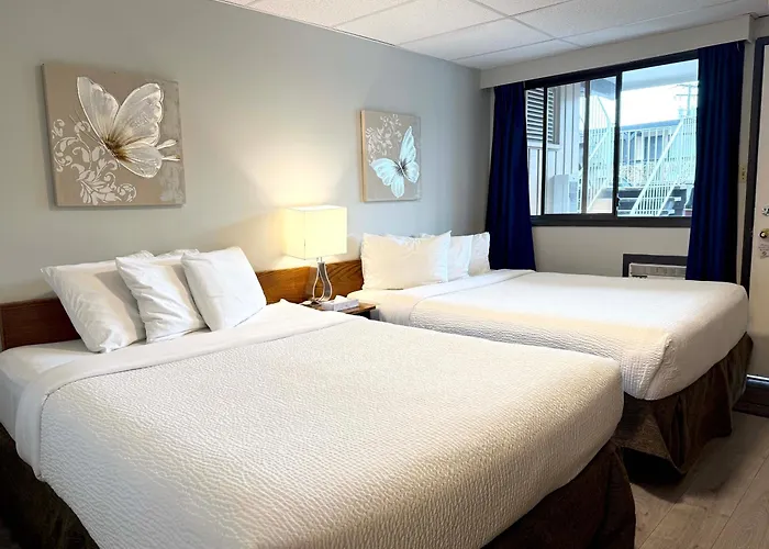 Pet Friendly hotel: Departure Bay Motel